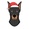 Dobermann Hund Tier Weihnachten
