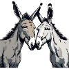 Donkey Couple
