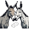 Donkey Couple - You & Me