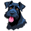 Giant Schnauzer
