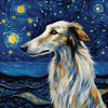 Borzoi Starry Night