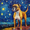 Boxer Starry Night