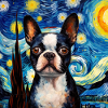 Boston Terrier Nuit étoilée