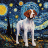 Epagneul Breton Starry Night