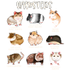 Many species of hamsters