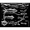 Squid-Pim