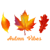 Autumn Vibes