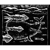 Squid and sperm whale