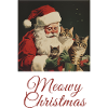 Chat de Noël miaou