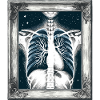 Medical Art Thoracic Painting Radiology