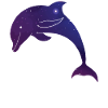 Dolphin Space Galaxy