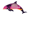 Dolphin Palm Tree Sunset