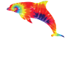 Dolphin Tie Dye