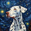 Dalmatian Starry Night