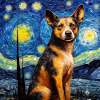 Cattle Dog Starry Night