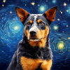 Cattle Dog Starry Night