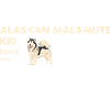 Alaskan Malamute Kid Definition
