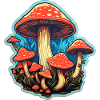 Toadstool Mushroom Mushroom Picker