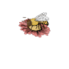 Bee Gifts