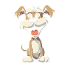 Schnauzer Dog Smiling