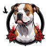 American Staffordshire