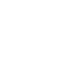 Panda géant Panda Ours