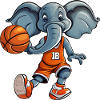 Elephant Basketball