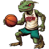 Lizard Basketball