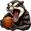 Basketball Badger