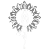 Yoga 5