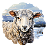 Winter landscape with sheep