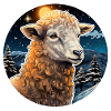 Winter wool