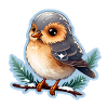 Winter Bird
