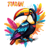 TOUCAN