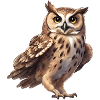 Owl