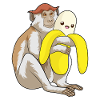 Singe Banane