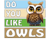 DO YOU LIKE OWLS