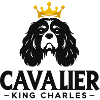 Knight King Charles Crowned
