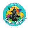 Weed Marijuana Cannabis Bud Lemon Haze