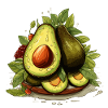 Avocado - Illustration