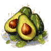 Avocado - Illustration