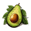 Avocat - Illustration