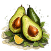 Avocado - Illustration
