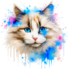 chat ragdol