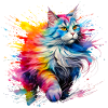Cat, Maine Coon