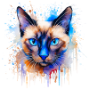 Siamese Cat