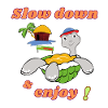 Slow down turtle at home