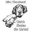 Gleich fliegen die Ohren!