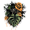 Dripping Monstera Leaves - by variegated.mind
