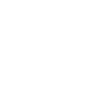 Speed King